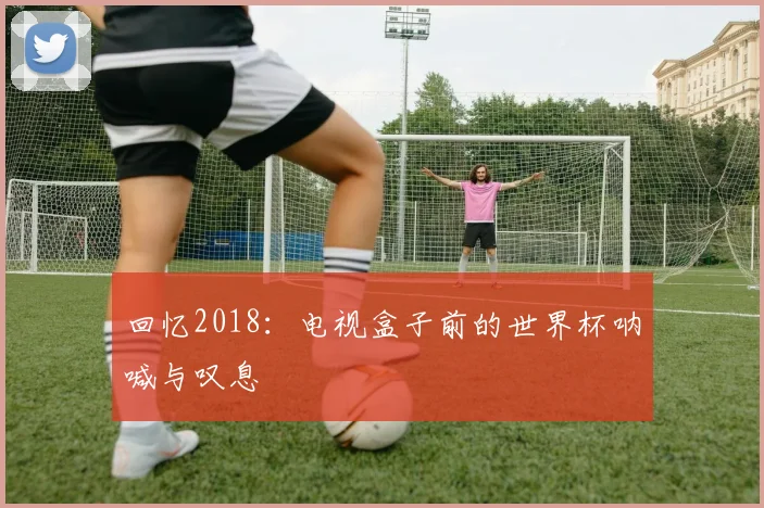 回忆2018：电视盒子前的世界杯呐喊与叹息