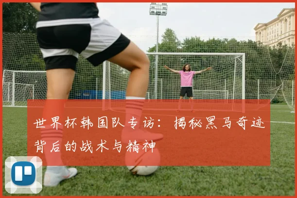 世界杯韩国队专访：揭秘黑马奇迹背后的战术与精神