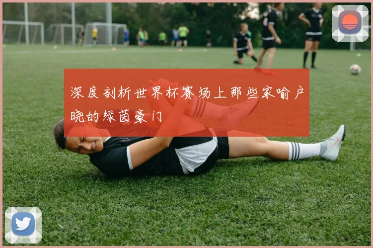 深度剖析世界杯赛场上那些家喻户晓的绿茵豪门