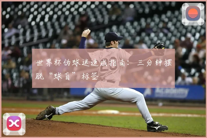 世界杯伪球迷速成指南:三分钟摆脱“球盲”标签