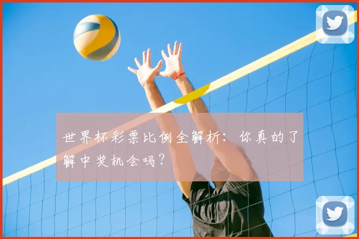 世界杯彩票比例全解析:你真的了解中奖机会吗?
