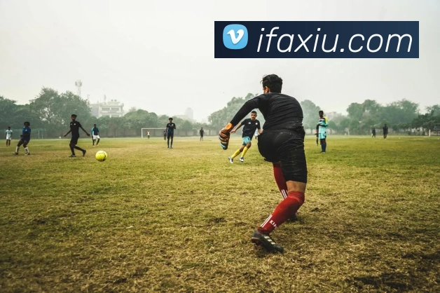 云开全站app登录入口平台生态图